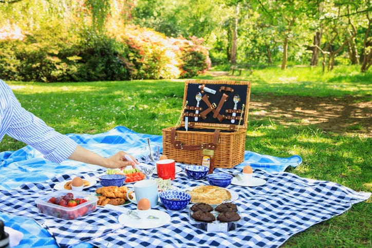 Picnic in a park scene, checkered tablecloth on the grass, wicker basket with picnic utensils and an array of food on the blanket.